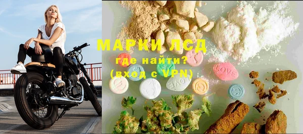 сатива Козловка