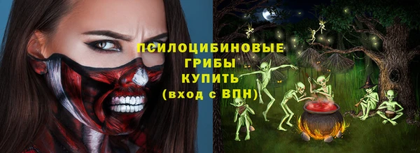 сатива Козловка