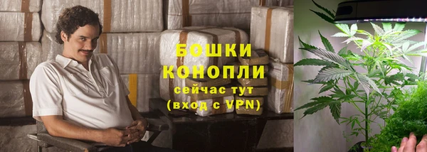 таблы Козельск