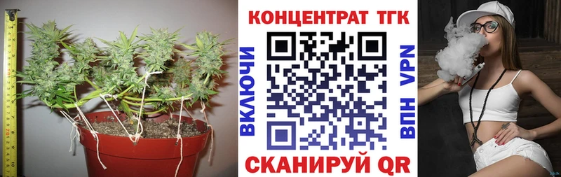 ТГК вейп с тгк  Купить где  Бор 